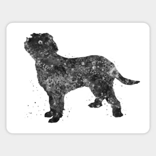 italian spinone dog black and white Magnet